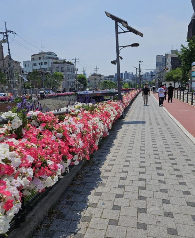 2024년 상반기 성북구 난간걸이화분…