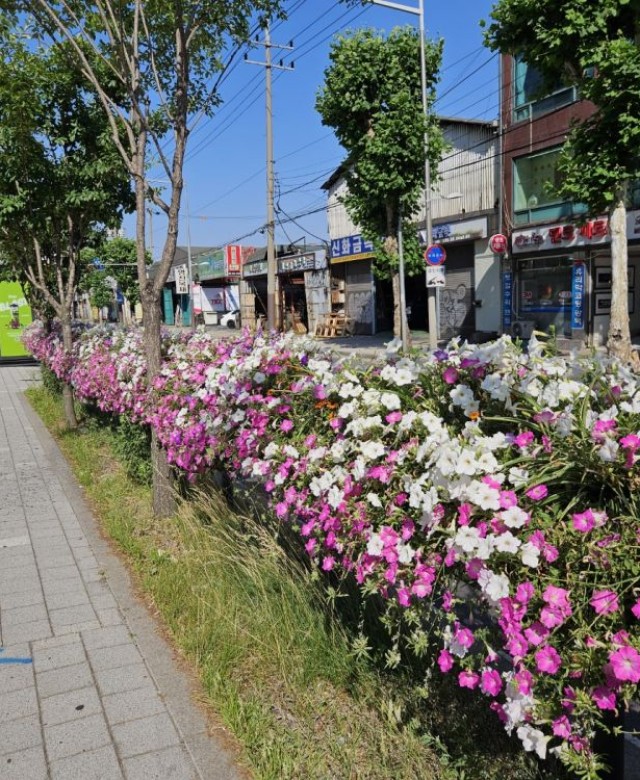 2024년 상반기 영등포구 난간걸이화…