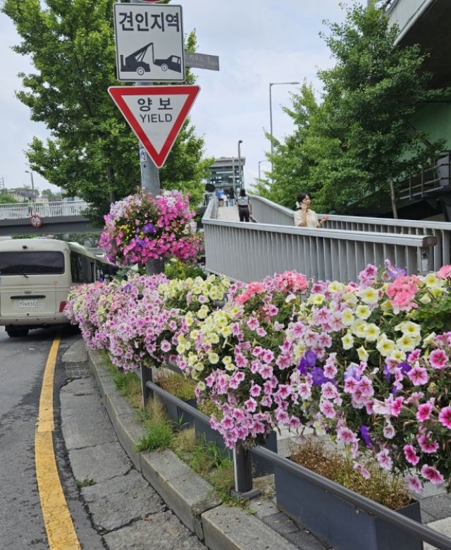 2024년 상반기 용산구 난간걸이화분…