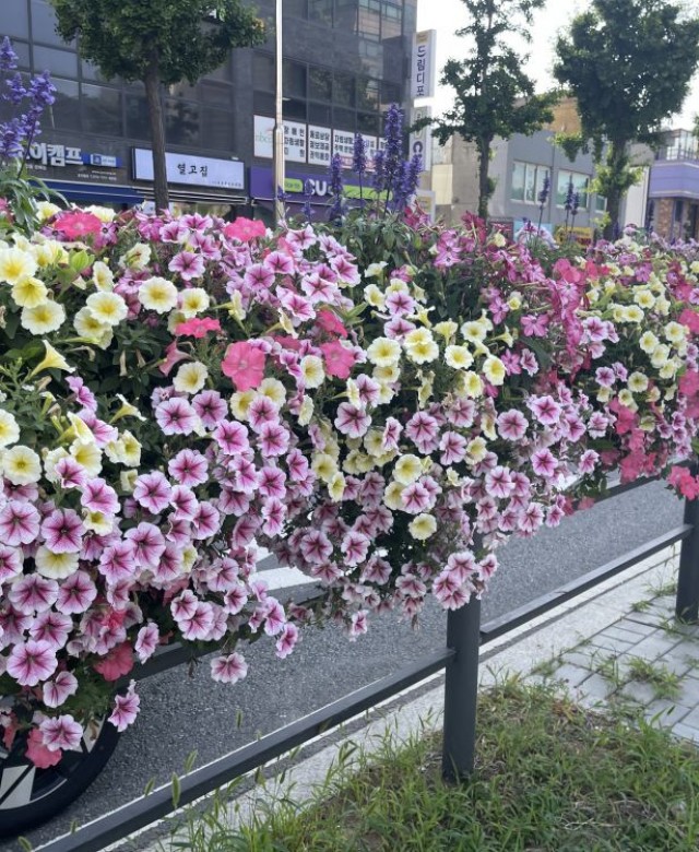 2024년 상반기 은평구 난간걸이화분…