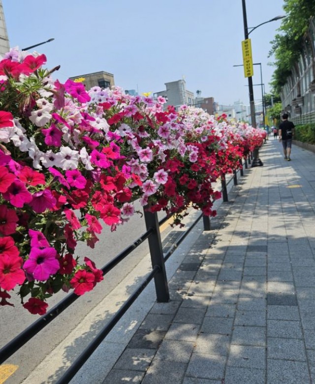 2024년 상반기 성동구 난간걸이화분…