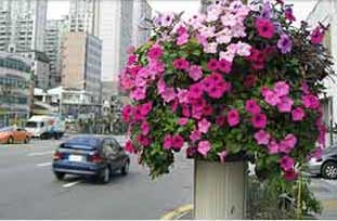 원형화분 적용사례 1