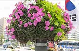 원형화분 적용사례 4