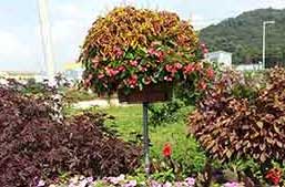 원형화분 적용사례 2