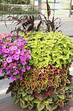 원형화분 적용사례 3