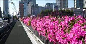 원형화분 적용사례 1