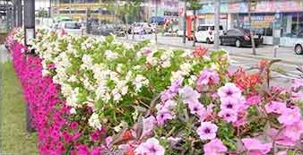 원형화분 적용사례 4