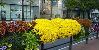 원형화분 적용사례 2