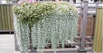 원형화분 적용사례 4